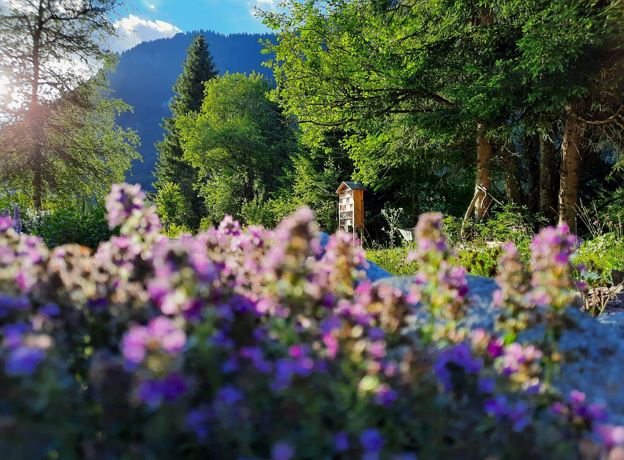 Outdoor Yoga im Kneipp & Relax Garten Alfenz