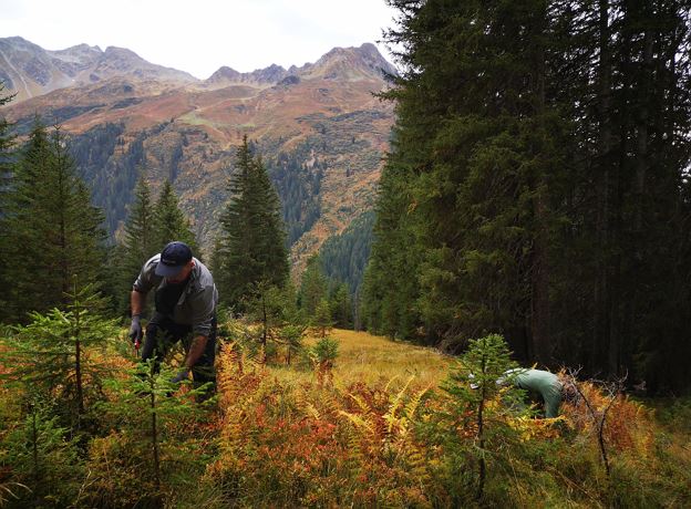 Vielfaltertag im Europaschutzgebiet Klostertaler Bergwälder - Alpe Gavar